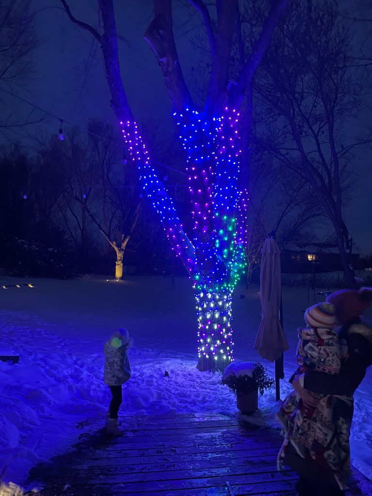 Multicolor layered Christmas tree wrap lighting display
